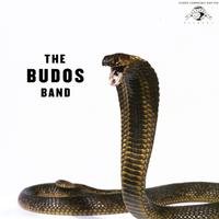 The Budos Band - The Budos Band III -  Vinyl Record
