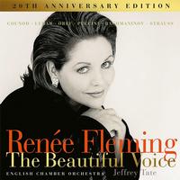 Renee Fleming - The Beautiful Voice/ Tate/English Chamber Orchestra -  Vinyl Record