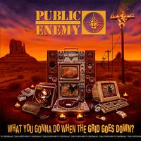 Public Enemy - What You Gonna Do When The Grid Goes Down? -  Vinyl Record