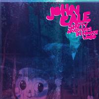 John Cale - Shifty Adventures In Nookie Wood