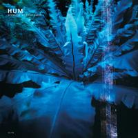 Hum - Downward Is Heavenward -  180 Gram Vinyl Record