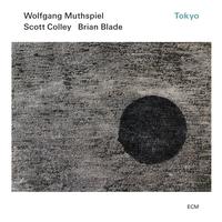 Wolfgang Muthspiel, Scott Colley, and Brian Blade - Tokyo