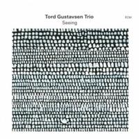 Tord Gustavsen Trio - Seeing