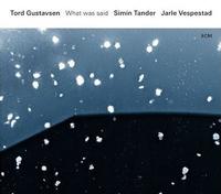 Tord Gustavsen/Simin Tander/Jarle Vespestad - What Was Said -  180 Gram Vinyl Record