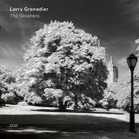 Larry Grenadier - The Gleaners -  Vinyl Record