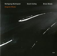 Wolfgang Muthspiel, Scott Colley, and Brian Blade - Angular Blues -  Vinyl Record