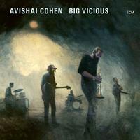 Avishai Cohen - Big Vicious -  Vinyl Record