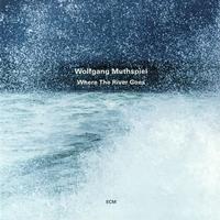 Wolfgang Muthspiel - Where The River Goes -  Vinyl Record
