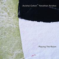 Avishai Cohen and Yonathan Avishai - Playing The Room