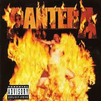 Pantera - Reinventing The Steel -  180 Gram Vinyl Record