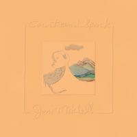 Joni Mitchell - Court And Spark -  Vinyl Record