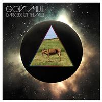 Gov't Mule - Dark Side Of The Mule -  Vinyl Record