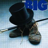 Mr. Big - Mr. Big