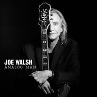 Joe Walsh - Analog Man -  Vinyl Record