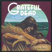 Grateful Dead - Wake of the Flood -  180 Gram Vinyl Record