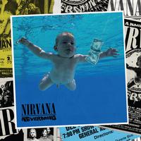 Nirvana-Nevermind-Vinyl Box Sets|Acoustic Sounds