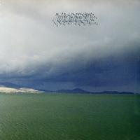 Modest Mouse - The Fruit That Ate Itself -  Vinyl Record