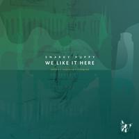 Snarky Puppy - We Like It Here (Remixed + Remastered + Reimagined)