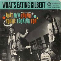 What's Eating Gilbert - That New Sound You're Looking For -  Vinyl Record