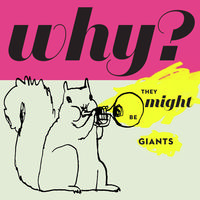 They Might Be Giants - Why? -  180 Gram Vinyl Record