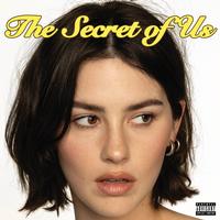 Gracie Abrams - The Secret Of Us -  Vinyl Record