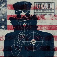 Ice Cube - Death Certificate -  Vinyl Record
