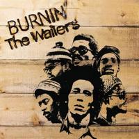 Bob Marley and The Wailers - Burnin' -  180 Gram Vinyl Record
