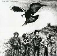 Traffic - When The Eagle Flies -  180 Gram Vinyl Record