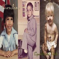 Everclear - Sparkle And Fade