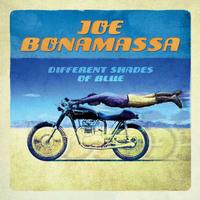 Joe Bonamassa - Different Shades Of Blue -  180 Gram Vinyl Record