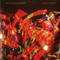 Trey Anastasio - Burn It Down (Live) -  Vinyl Record