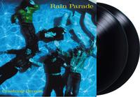 Rain Parade - Crashing Dream