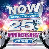 Various Artists - Now That's What I Call Music 25th Anniversary Volume 1