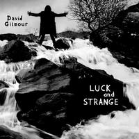 David Gilmour - Luck And Strange -  Vinyl Record