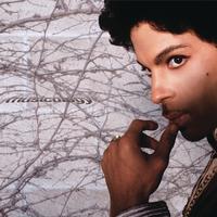 Prince - Musicology -  140 / 150 Gram Vinyl Record