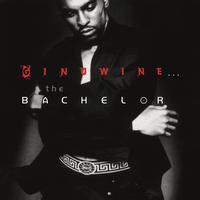 Ginuwine — Ginuwine... The Bachelor
