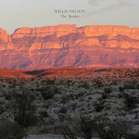 Willie Nelson - The Border -  Vinyl Record