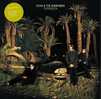 Echo & The Bunnymen - Evergreen -  Vinyl Record