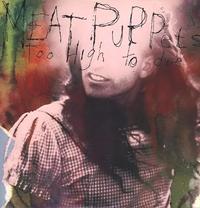 Meat Puppets - Too High To Die