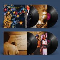 Pavement - Terror Twilight: Farewell Horizontal -  Vinyl Box Sets