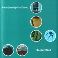 Peter Green Splinter Group - Destiny Road -  180 Gram Vinyl Record
