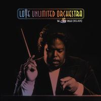 The Love Unlimited Orchestra - The 20th Century Records Singles (1973-1979) -  Vinyl Record