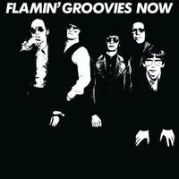Flamin' Groovies - Now -  180 Gram Vinyl Record
