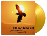 Jaco Pastorius & Brian Melvin - Blackbird