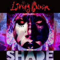 Living Colour - Shade -  Vinyl Record