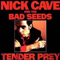 Nick Cave and the Bad Seeds - Tender Prey