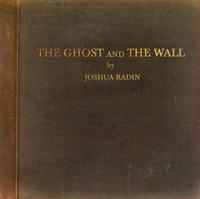 Joshua Radin - The Ghost And The Wall -  Vinyl Record