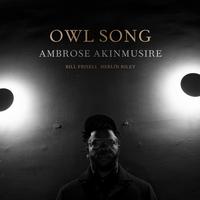 Ambrose Akinmusire/Bill Frisell/Herlin Riley - Owl Song -  Vinyl Record