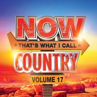 Various Artists - NOW Country 17 -  Vinyl Record