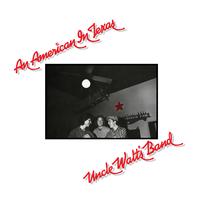 Uncle Walt's Band - An American In Texas -  Vinyl Record